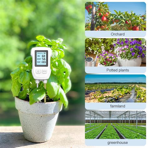 moisture tester for potted plants